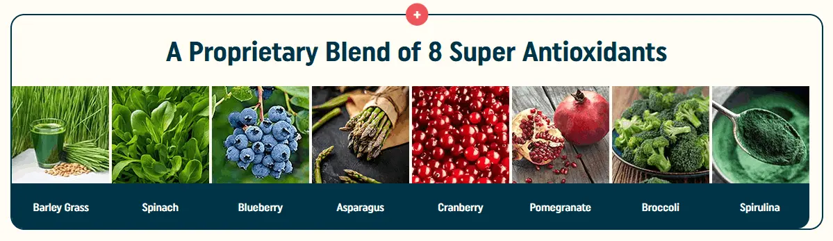 Blend of 8 super antioxidants